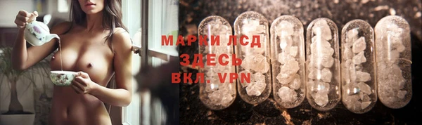 индика Алзамай