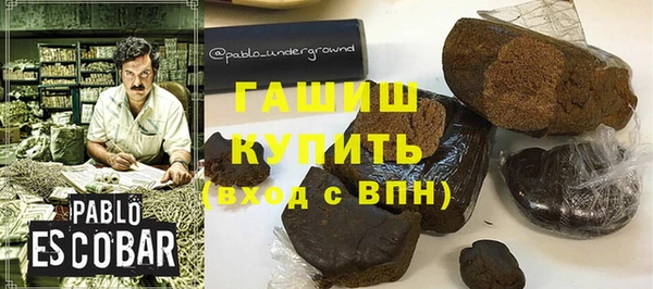 индика Алзамай